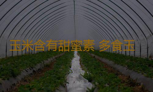 玉米含有甜蜜素 多食玉米有害吗？