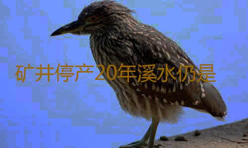 矿井停产20年溪水仍是黄褐色怎么回事