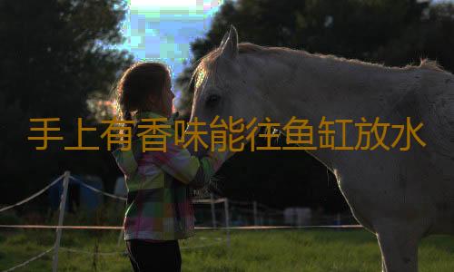 手上有香味能往鱼缸放水吗