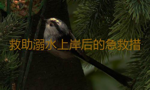 救助溺水上岸后的急救措施