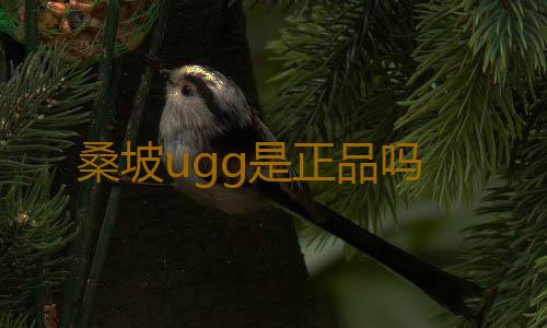 桑坡ugg是正品吗