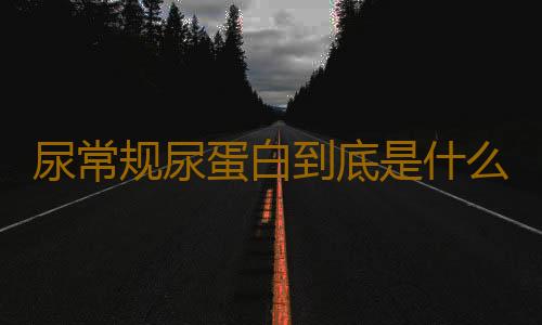 尿常规尿蛋白到底是什么