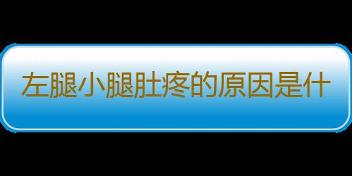 左腿小腿肚疼的原因是什么？