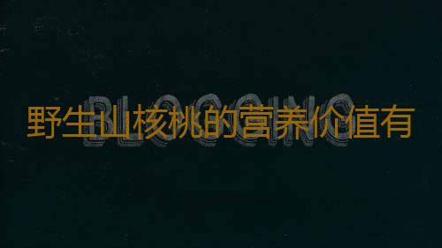 野生山核桃的营养价值有哪些呢？