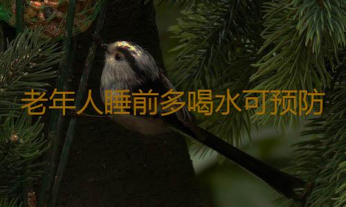 老年人睡前多喝水可预防脑血栓