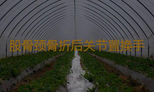 股骨颈骨折后关节置换手术适应症