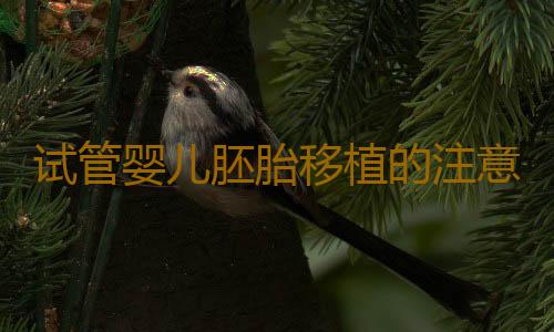 试管婴儿胚胎移植的注意事项